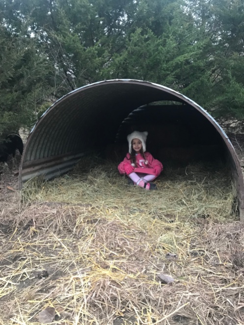 Brynn testing out our new hog houses.